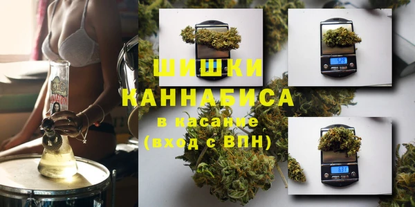 прущая мука Арсеньев