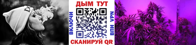 Бошки марихуана семена  магазин продажи наркотиков  Устюжна 